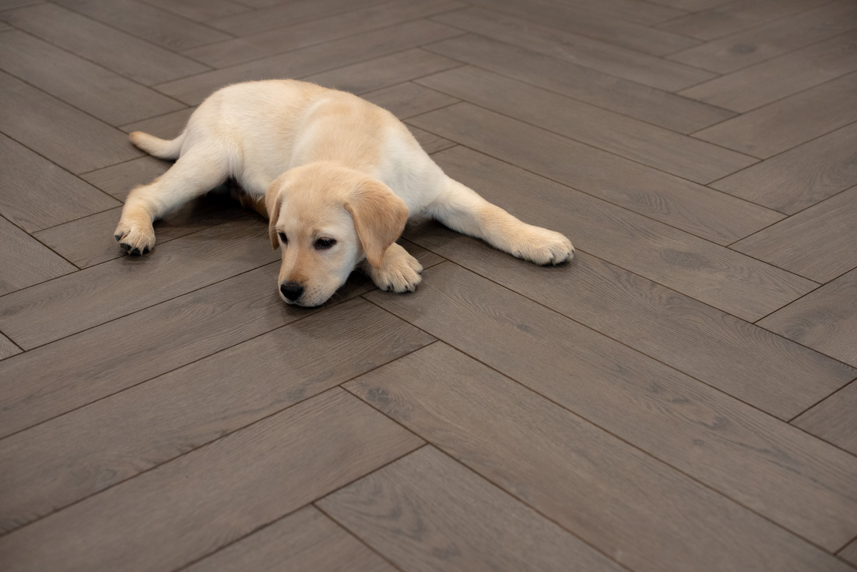 Floer-Visgraat-Laminaat-vloer-Mokka-Zwart-Eiken-tips-klein-appartement-inrichten